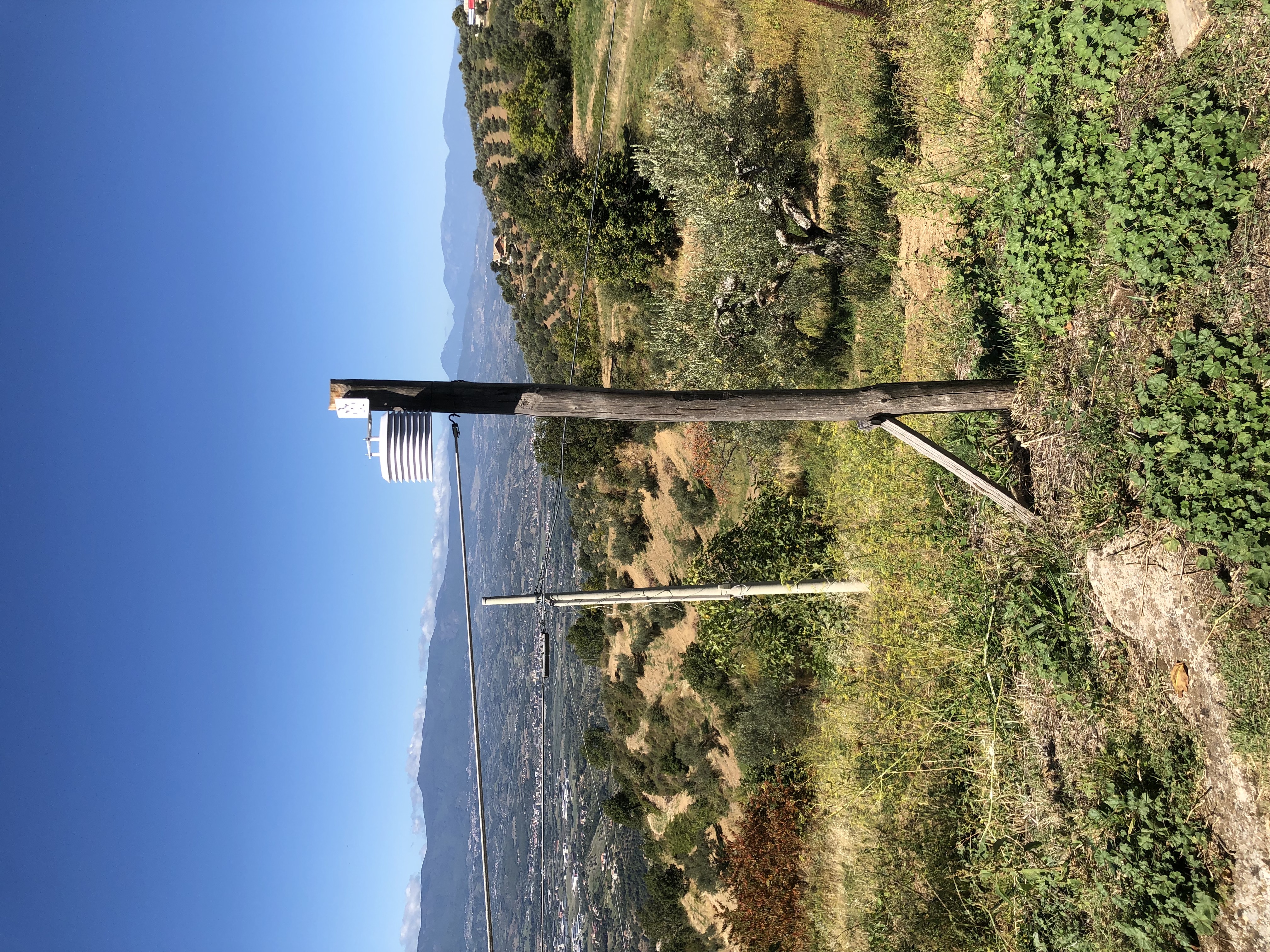 img1